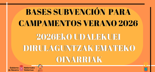Imágen de la noticia - Bases reguladoras para la concesión de subvenciones a campamentos de verano 2026