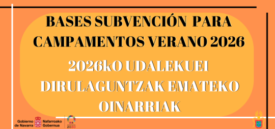Imágen de la noticia - Bases reguladoras para la concesión de subvenciones a campamentos de verano 2026