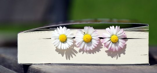 Imágen de la noticia - Euskera – Club de lectura en la biblioteca Mª Luis Elío de Barañáin.
